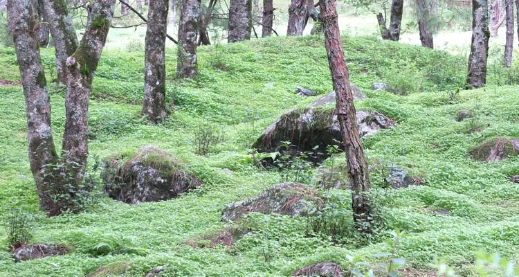 Katmandú Parque Nacional de Shivapuri y Nagarkot senderismo - Trekking Guide Team Adventure 3