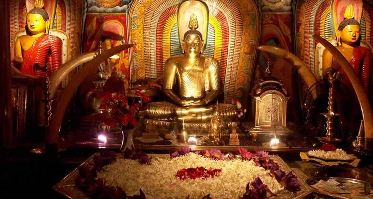 Sri Lanka Luxury Private Tour 2024 - Sri Holidays 8