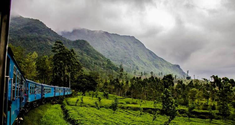 Trein die door een schilderachtig berglandschap rijdt.
