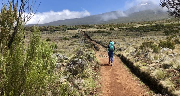 Kilimandjaro Lemosho Summit and Camping Safari - OneSeed Expeditions 4