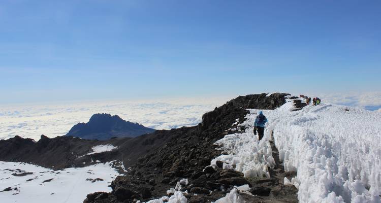 Kilimandjaro Lemosho Summit and Camping Safari - OneSeed Expeditions 7