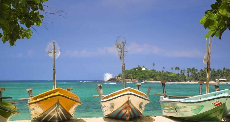 Barcos alineados en la playa con el océano de fondo.
