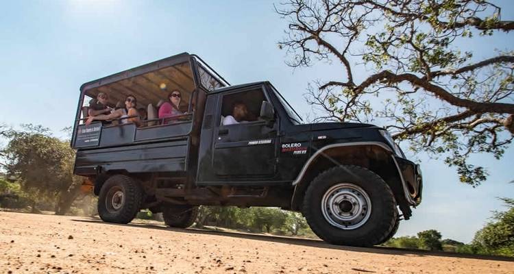 Circuit privé au Sri Lanka pour la faune et la flore 2024 - Sri Holidays 2