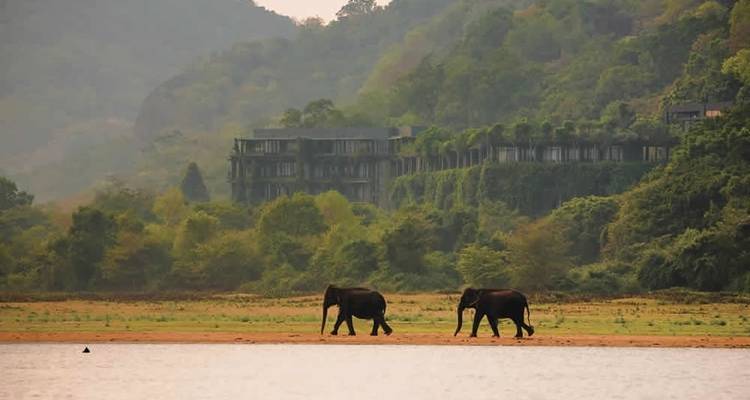 Circuit privé au Sri Lanka pour la faune et la flore 2024 - Sri Holidays 9