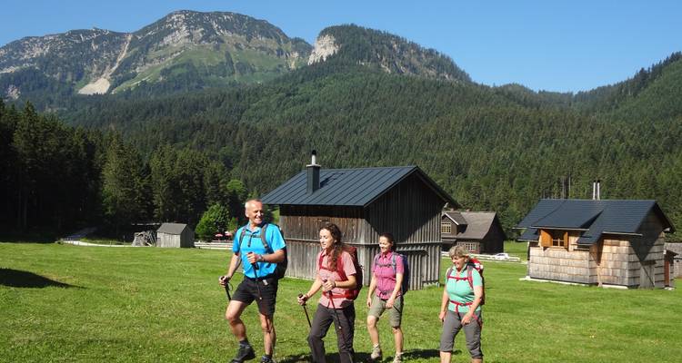 Grupo de excursionistas caminando en una zona de hierba con montañas.