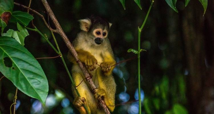Machu Picchu & Amazon Adventure - Active Adventures 9