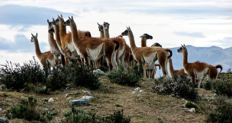 Patagonia Hiking Adventure - Active Adventures 10