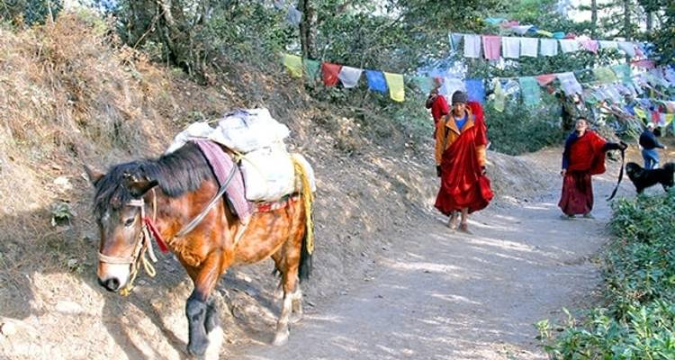 Aventura en Bután - Active Adventures 2