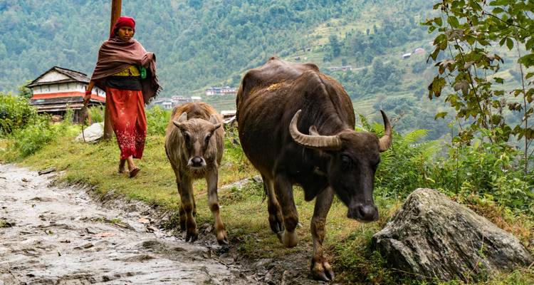 Annapurna Sanctuary Trek - Active Adventures 10