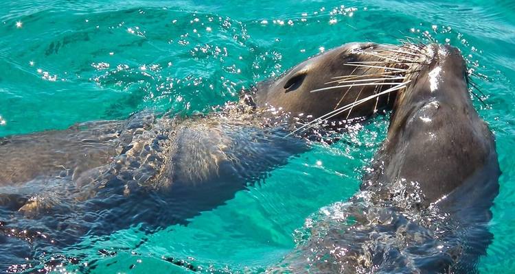 L'aventure ultime des îles Galápagos - Active Adventures 8