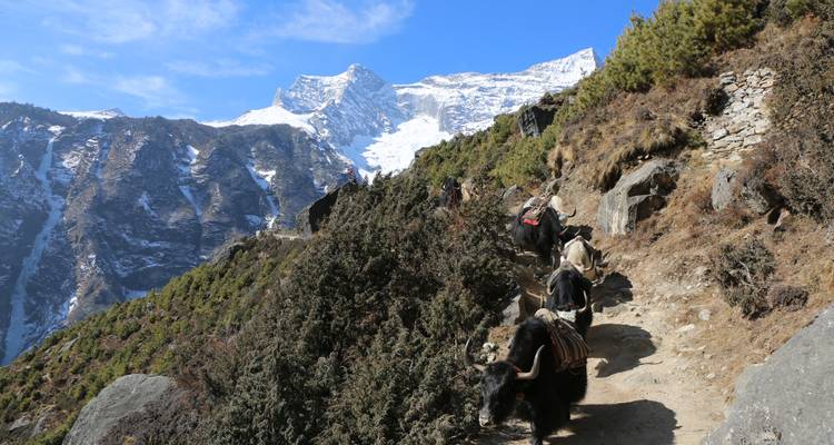 Trek de l'Everest de l'un à l'autre - Active Adventures 7