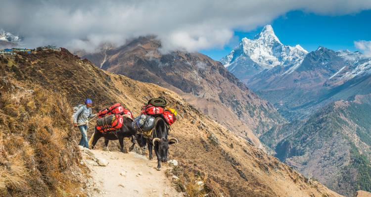 Trek de l'Everest de l'un à l'autre - Active Adventures 8