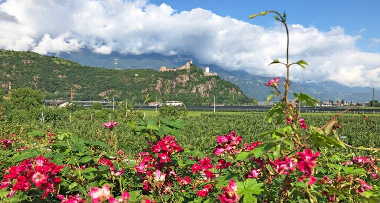 Sentier des vins et des alpages du Tyrol du Sud - Eurohike 3