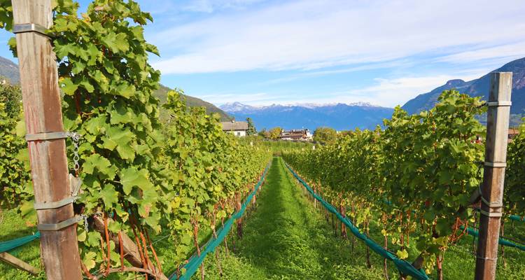 Sentier des vins et des alpages du Tyrol du Sud - Eurohike 4