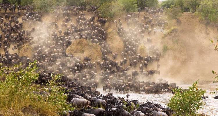 Safari migración clásica Kenia y Tanzania 2024 - Classic Journeys Africa Ltd 9