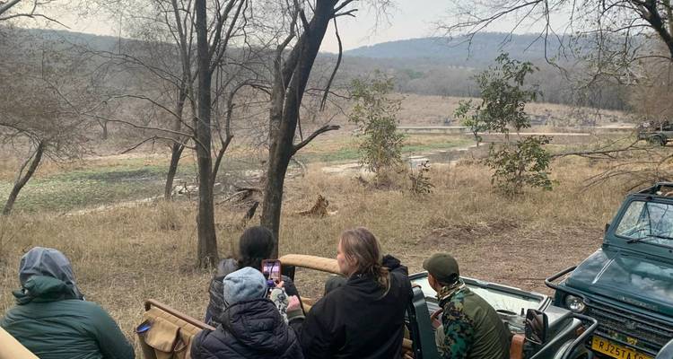 Turistas en safari observando un tigre en el Parque Nacional Ranthambore.