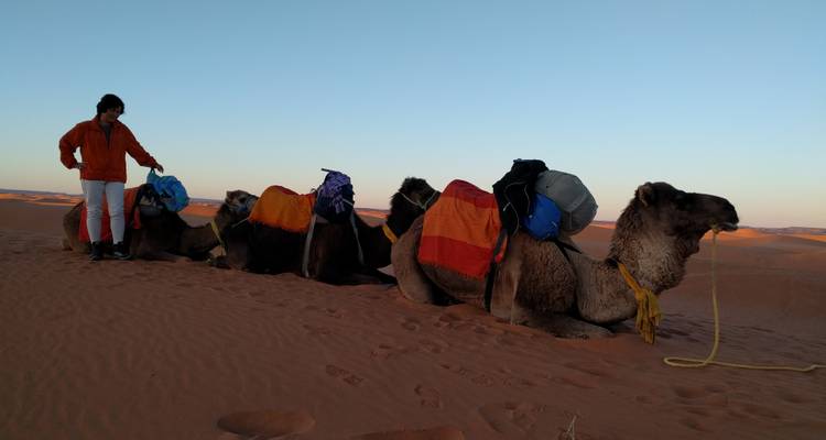 Circuit dans le désert du Sahara depuis Fès - Morocco Today Travel 6