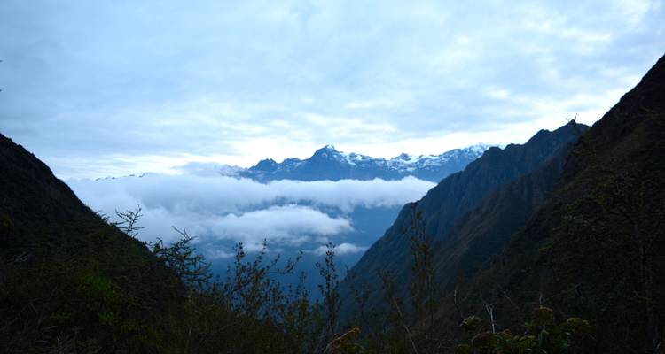 Forfait de 7 jours "Trek au Machu Picchu par le Chemin de l'Inca". - Inkayni Peru Tours 10