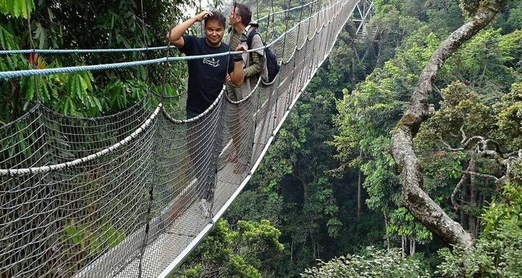 Safari de luxe de 11 jours au Rwanda - Ovacado Adventures 7
