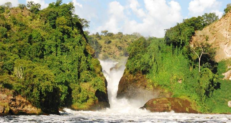 Safari de 13 días explora Uganda y Ruanda - Ovacado Adventures 2