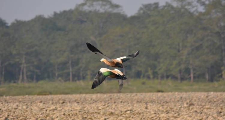 Group joining Chitwan Safari Tour - White Hill Adventure Treks and Expedition Pvt Ltd 2