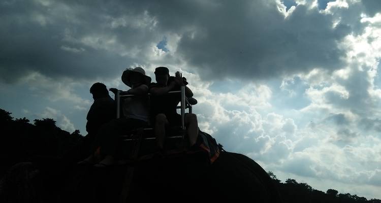 Group joining Chitwan Safari Tour - White Hill Adventure Treks and Expedition Pvt Ltd 10