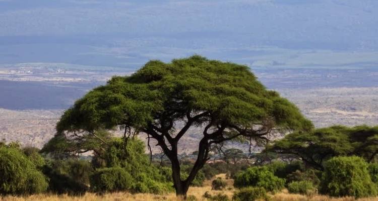 18-Day Best of East Africa Safari – Visit 4 Countries - Ovacado Adventures 4