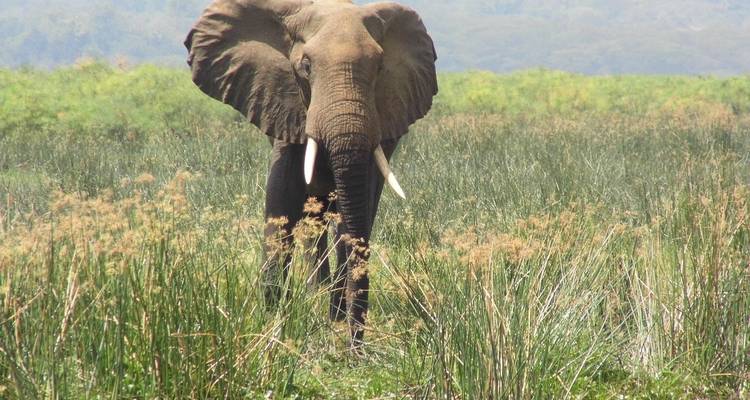 16-Day Uganda Highlights Adventure - Ovacado Adventures 2