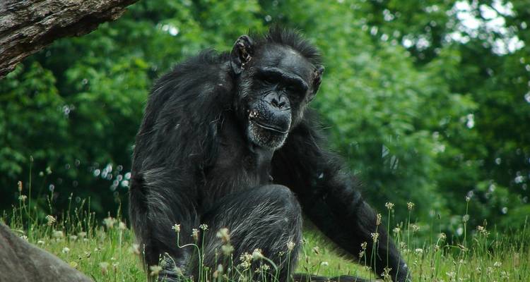 16-Day Uganda Highlights Adventure - Ovacado Adventures 4