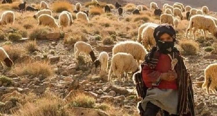 Circuit privé de 8 jours au Maroc depuis Casablanca - Cultural Morocco Tours 3
