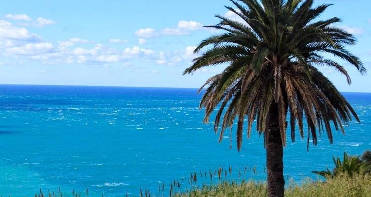 4 Days from Marrakech to Fes via Essaouira / Chefchaouen - Cultural Morocco Tours 4