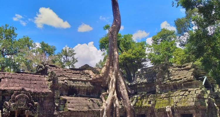 Lo más destacado de los templos de Angkor circuito de 6 días por Camboya - About Cambodia Travel & Tours 9