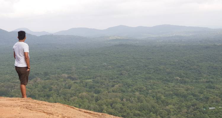 Person standing on a cliff overlooking vast forested landscape.