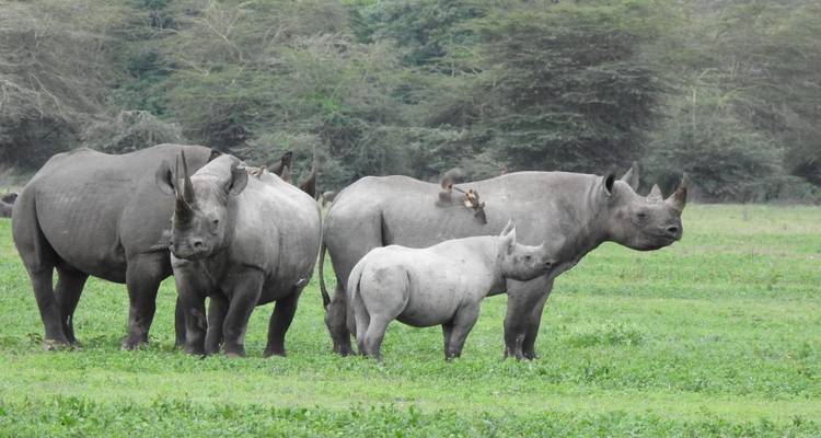Le meilleur du nord de la Tanzanie -8 jours - Classique - Classic Journeys Africa Ltd 8