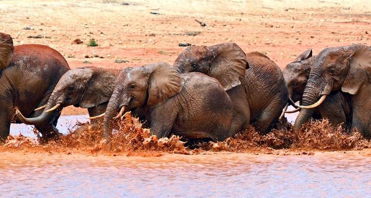 Serie clásica de Kenia y Tanzania - Classic Journeys Africa Ltd 10