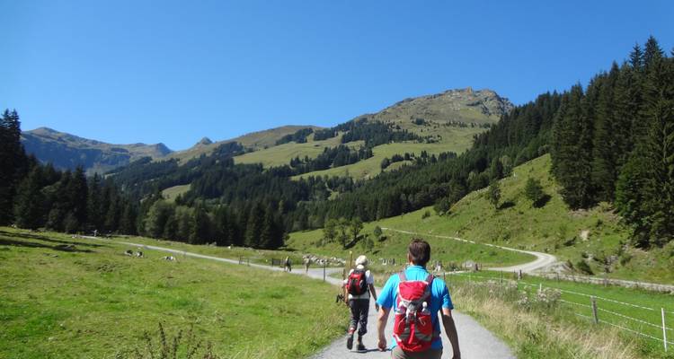 Altmühltal Panorama Path - Eurohike 4
