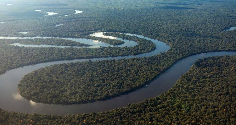 Vista aérea de un río serpenteante a través de un bosque denso.