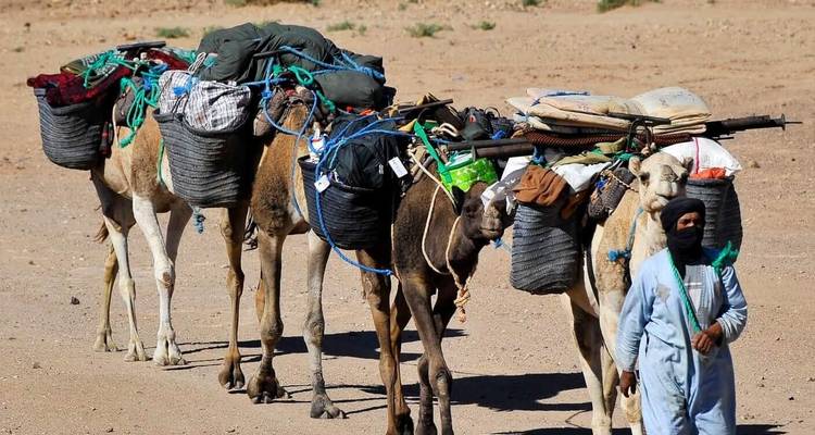 Trek à dos de chameau vers l'Erg Zahar - 7 jours - Desertbrise Travel 1