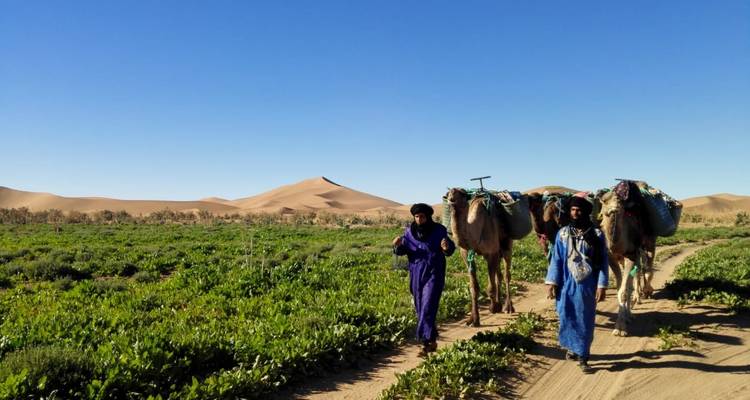 Trek à dos de chameau vers l'Erg Zahar - 7 jours - Desertbrise Travel 8