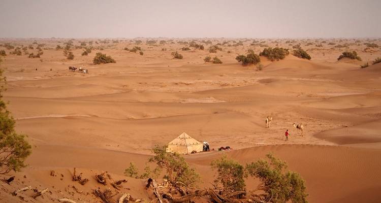Trek à dos de chameau vers l'Erg Zahar - 7 jours - Desertbrise Travel 9