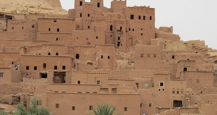 Trek à dos de chameau vers l'Erg Zahar - 7 jours - Desertbrise Travel 6