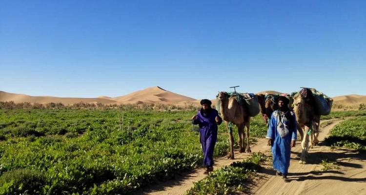 Excursión en camello Marruecos 7 días a Erg Smar - Desertbrise Travel 6