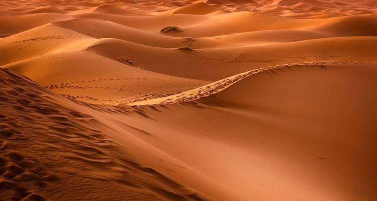 Excursión en camello Marruecos 7 días a Erg Smar - Desertbrise Travel 1