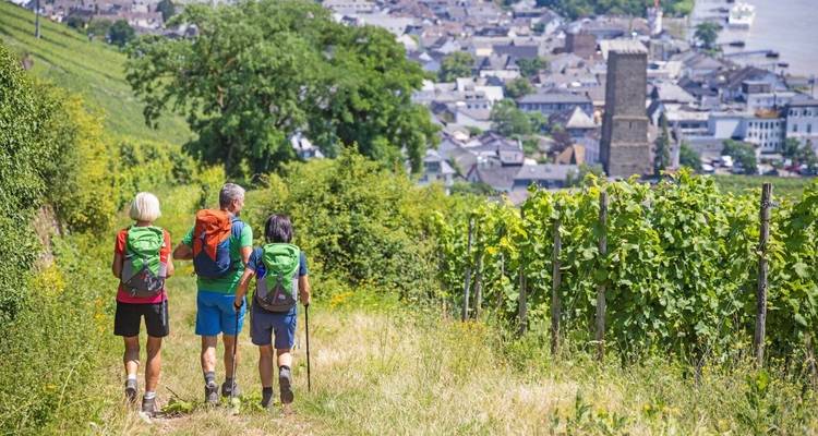 Rhine Walking: Rüdesheim - St. Goarshausen - Eurohike 9