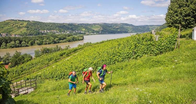Senderismo por el Rin: Rüdesheim - Coblenza - Eurohike 1