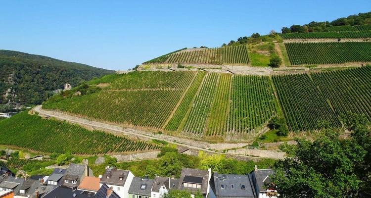 Senderismo por el Rin: Rüdesheim - Coblenza - Eurohike 2