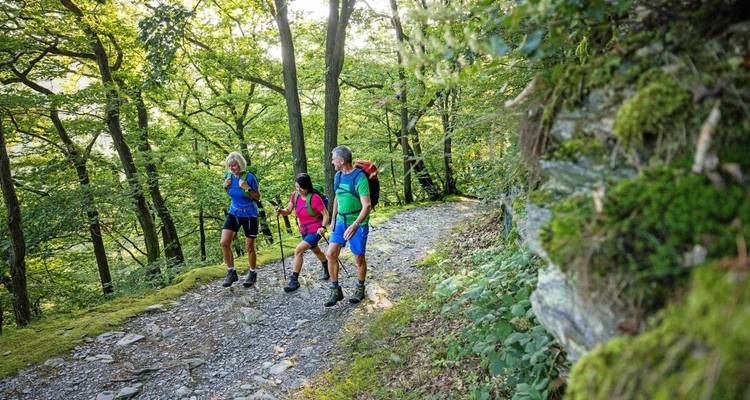 Senderismo por el Rin: Rüdesheim - Coblenza - Eurohike 6