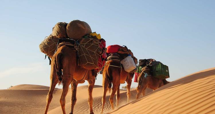 4 jours de Trekking dans le désert du Maroc - Desertbrise Travel 1
