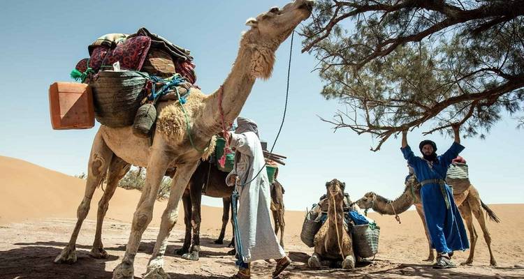 4 jours de Trekking dans le désert du Maroc - Desertbrise Travel 7