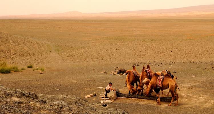 Vallée de l'Orkhon 2D 1N - Trip De Nomadic 2